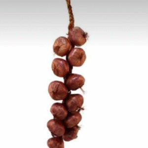 Ristra de Cebolla ( 9-10 unid)